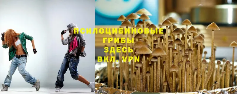 купить наркотик  гидра зеркало  Галлюциногенные грибы MAGIC MUSHROOMS  Нефтегорск 